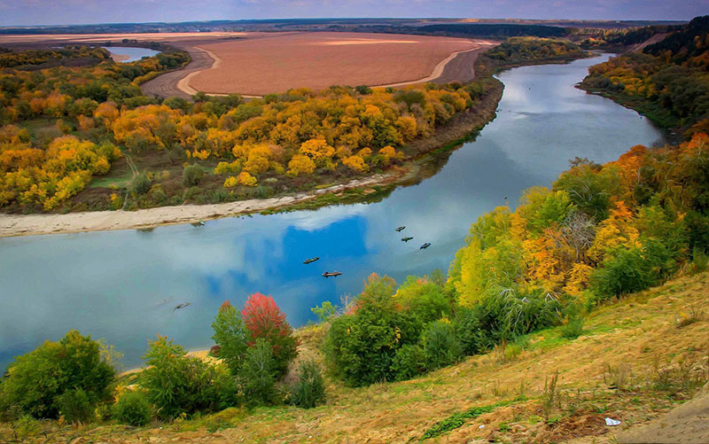В Ростовской области учрежден новый экологический праздник