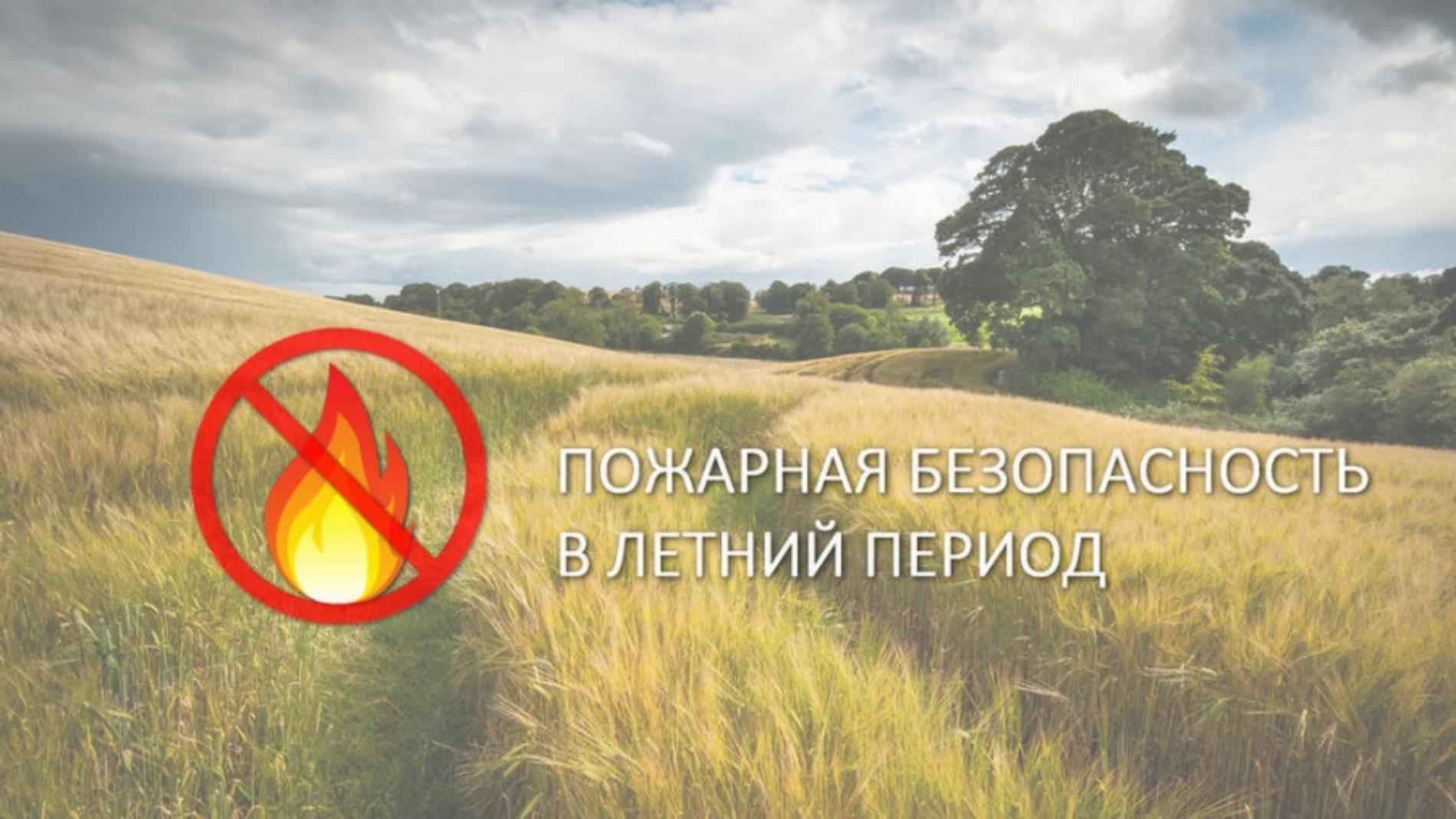 Туберкулёз